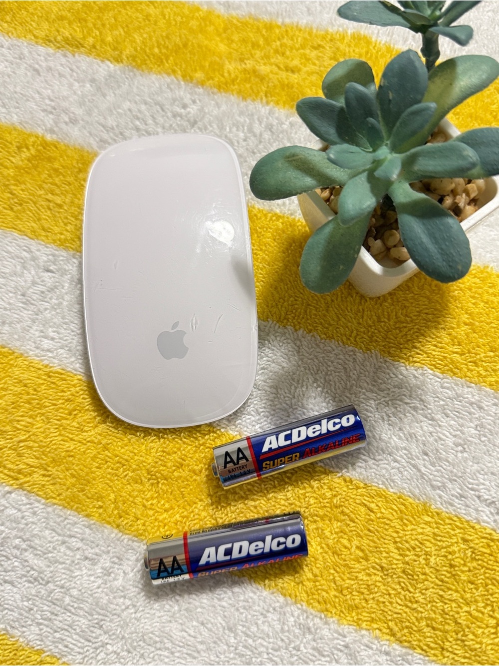 Apple White Wireless Mouse with Silver Logo